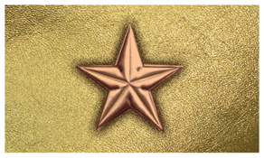 DNSEMP-C-430-BZ-GD Star Bronze-Gold